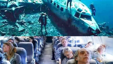 After Decades of Speculation the Story of US Navy Flight 19