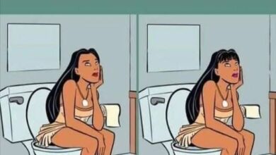 Can You Find All Five Differences in This Picture Puzzle